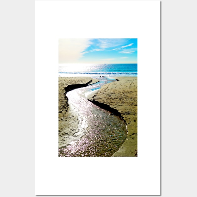 Dana Point Rivulet Wall Art by bobmeyers